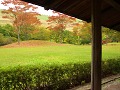 丹沢湖ダム広場公園の紅葉
