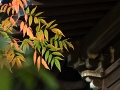 鎌倉・大巧寺