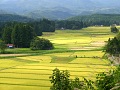 一関市本寺地区の農村景観