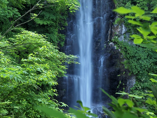 白神山地 - 日本の世界遺産