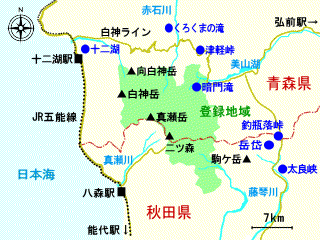 白神山地案内図