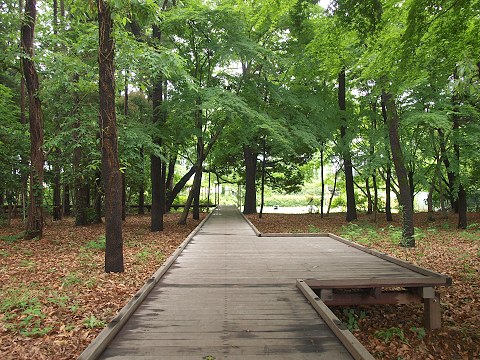 緑輝く宇都宮記念公園